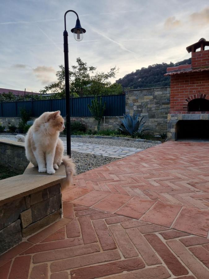 Dimora Pepatio Camporosso (Liguria) Exterior foto